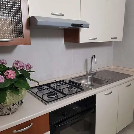 Hébergement de vacances My Life *